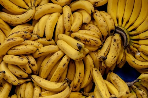 Banana Pudding