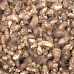 Chembu