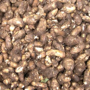 Chembu