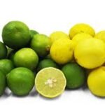 Lemon Pickle