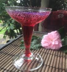 Rasp Berry Soda Pop