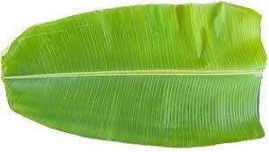 Kottara Sadya