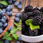 BLUE BERRY  ICE CREAM