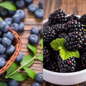 BLUE BERRY  ICE CREAM