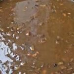 CHERUPAYAR PAYASAM