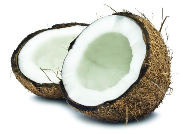 COCONUT PUDDING