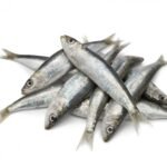 FISH (OPTIONAL) PICKLE