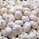 GARLIC  PICKLE