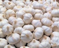 GARLIC  PICKLE
