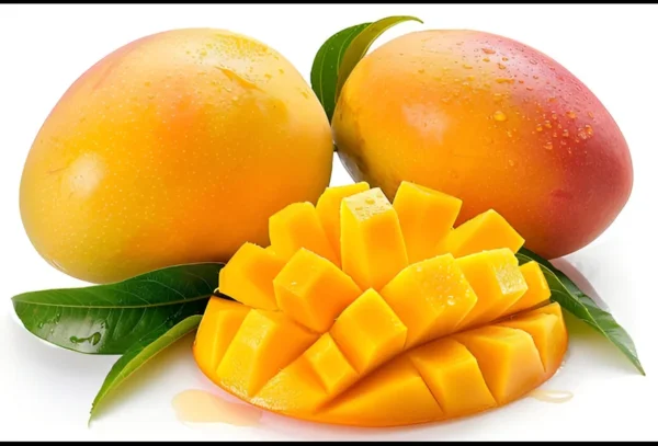 MANGO PUDDING