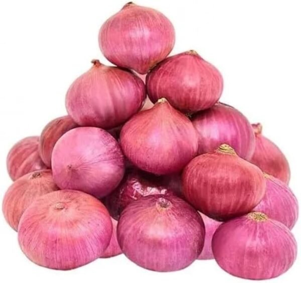 ONION PICKLE