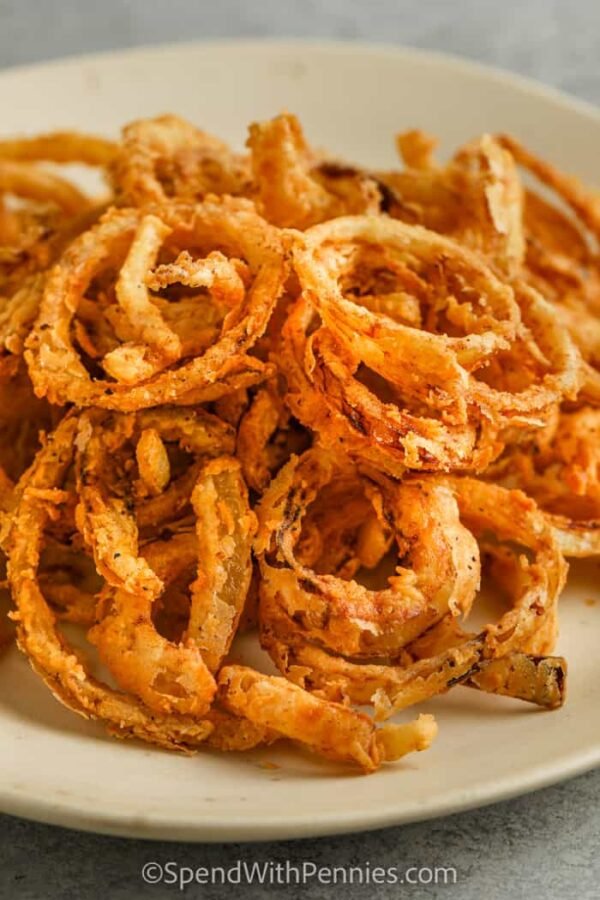 CHICKEN ONION FRY
