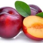 PLUM PUDDING
