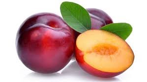 PLUM PUDDING