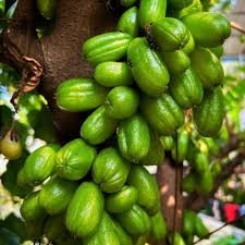 PULINCHIKKA PICKLE