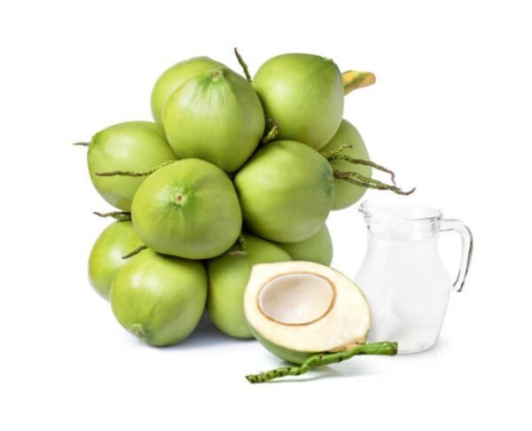 TENDER COCONUT PUDDING